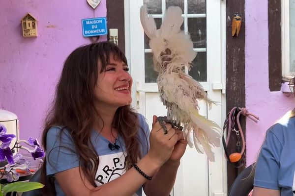 Anastasia Boutorova, Pascale Gangloff et la cacatoès Heywi