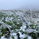 Mercredi 20 novembre, des giboulées de neige sont attendues en Auvergne.