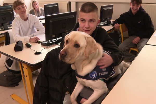 La présence du chien Urda apporte du réconfort à ces lycéens d'Aurillac.