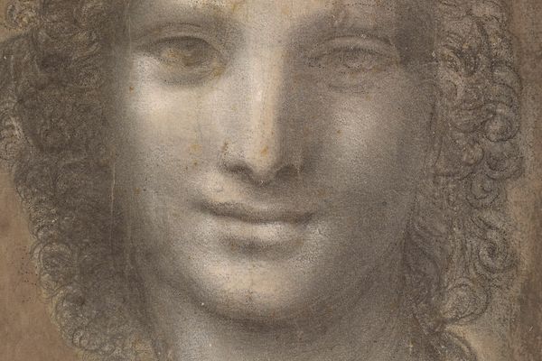 L'oeuvre est attribuée à Léonard de Vinci.