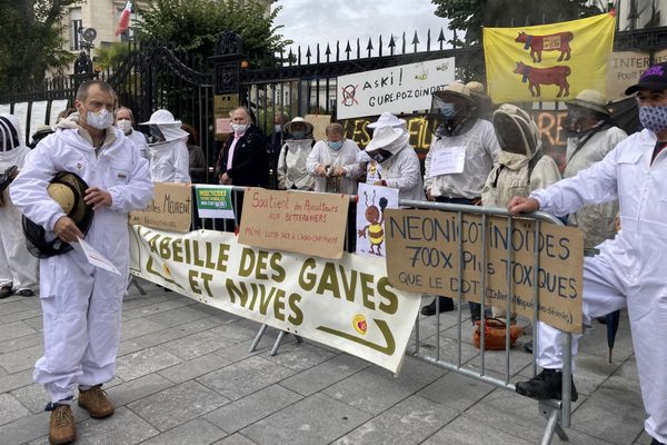 Manifestation d'Apiculteurs contre les néonicotinoïdes devant la préfecture de Pau ce jeudi 1/10/20