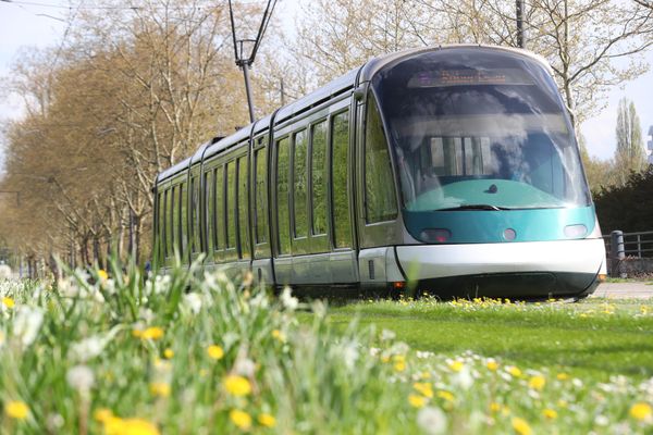 Bus et trams seront gratuits jeudi 25 février en raison d'un pic de pollution atmosphérique.