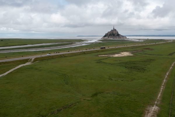 La baie du Mont-Saint-Michel (50) est un formidable réservoir de biodiversité.