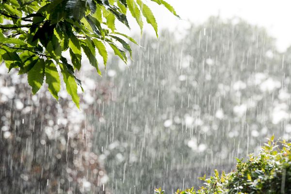 Les prévisions météo du lundi 24 juillet 2023 dan les Hauts-de-France