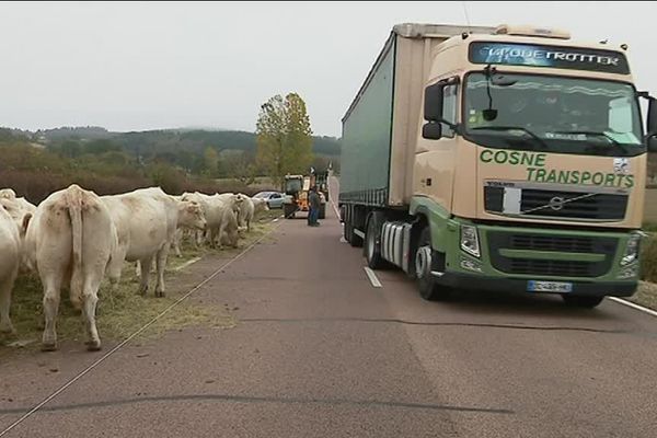 Dans la Nièvre, une action du monde agricole s’est déroulée jeudi 25 octobre sur cinq axes routiers. 