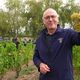 Fabrice Teitgen, dans les vignes du Château Smith Haut Lafitte, au moment des vendandes 2024.