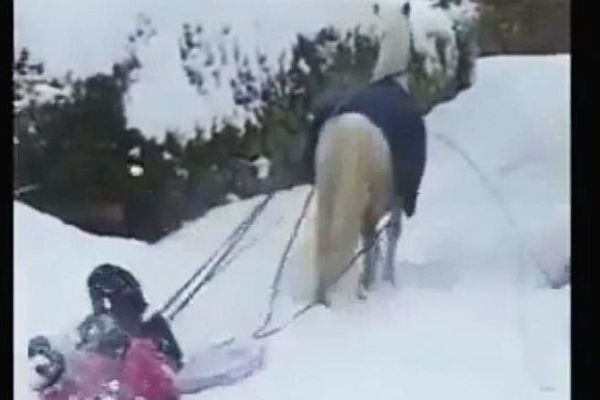 Un cheval tracte une luge dans la neige, Les Pieux, Manche, mardi 12 mars 2013