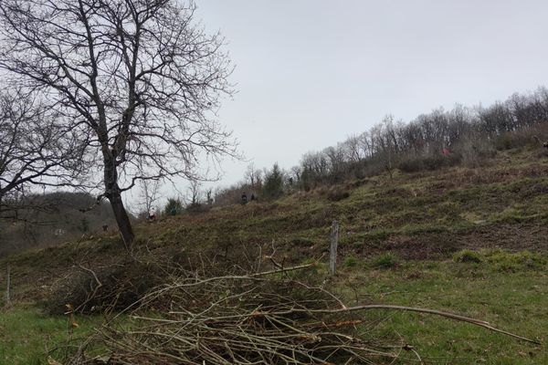 Débroussaillage des pelouses sèches