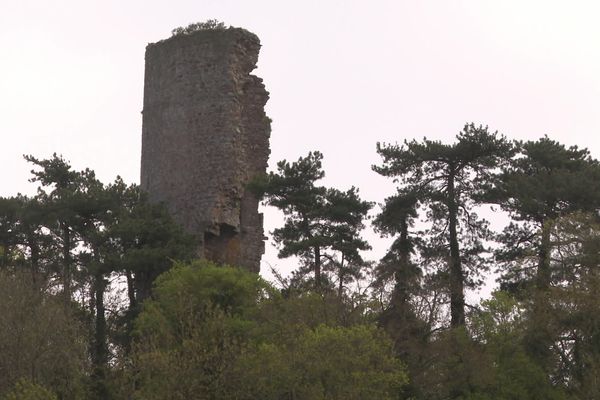 Sur les hauteurs de Saint-Brieuc, la tour de Cesson, vieille de 630 ans est restée propriété privée jusqu'en 2020.