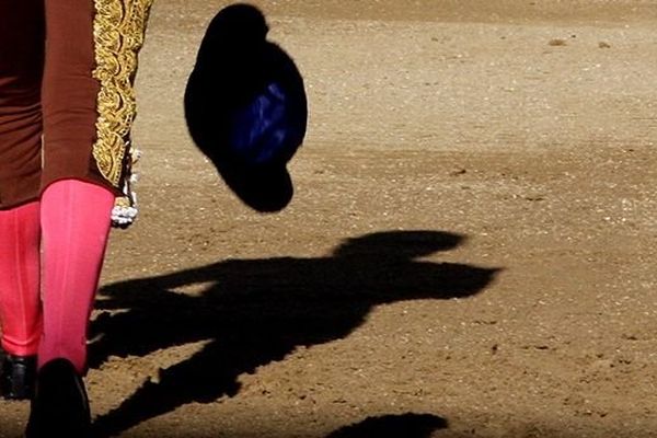 Il faut croire que toréer est une drogue puissante. Plusieurs jeunes retraités de la piste ont annoncé leur retour. Ou vont le faire.