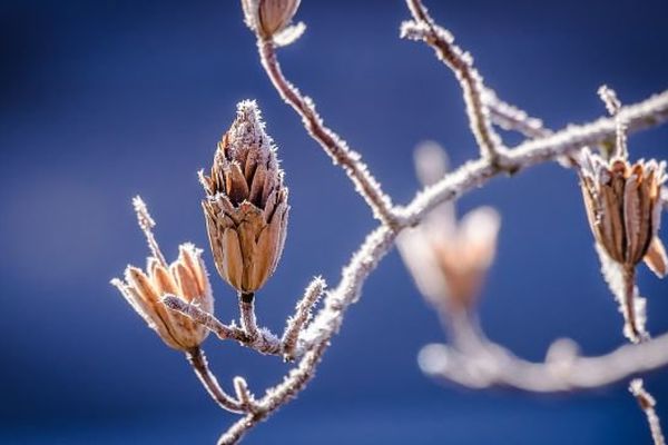 Entre 6 et 10°C les après-midis, il sera toujours judicieux de mettre les manteaux la semaine prochaine en Bourgogne.