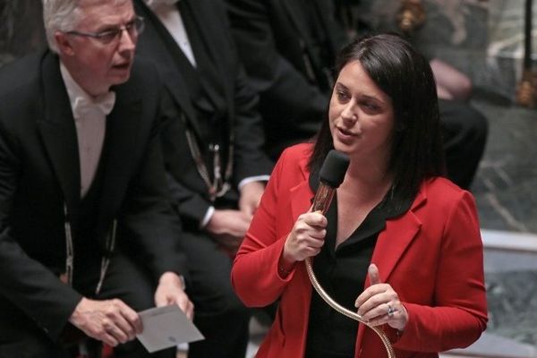 Sylvia Pinel, ministre de l'artisanat, du commerce et du tourisme, lors des questions au gouvernement à l'assemblée nationale le 5 juin 2013