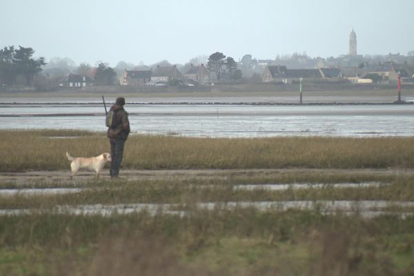 La baie des Veys, dans la Manche, un lieu prisé des chasseurs.