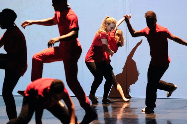 Le spectacle Babel 8.3 à la Maison de la Danse, en 2015, a été interprété par des habitants de Lyon