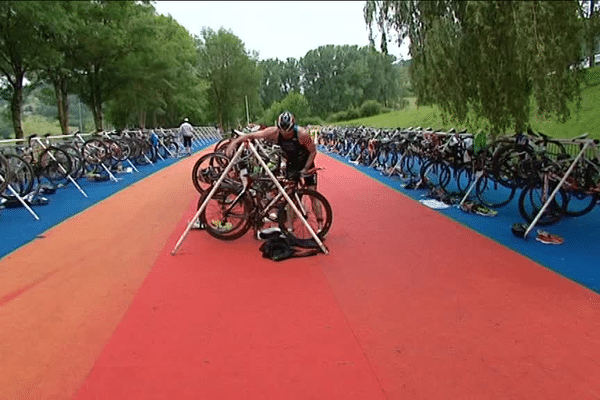 81 athlètes participent à la course élite. 