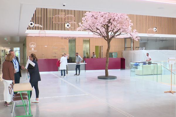 Le hall laisse une grande place à la lumière naturelle et aux tons clairs et bois.