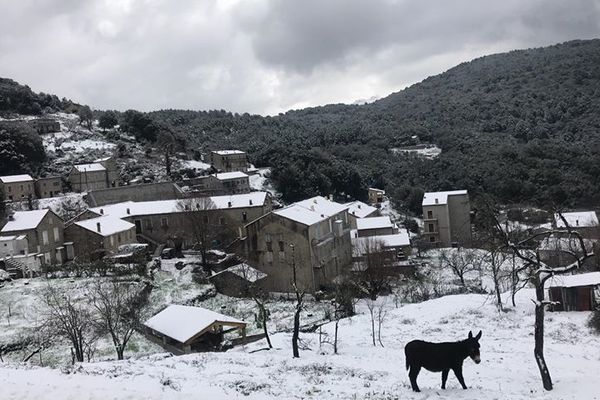 Levie sous la neige. Le ciel devrait rester chargé ce mercredi malgré un léger redoux.