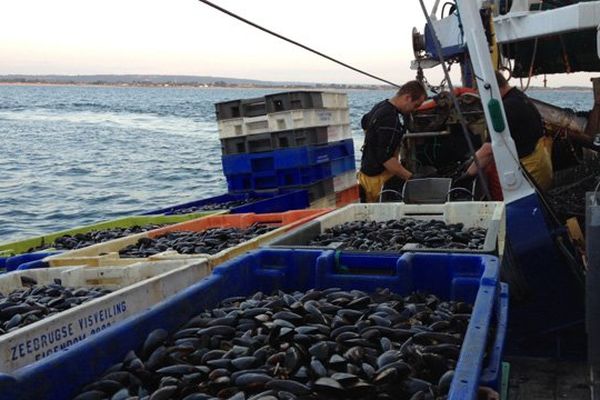 A bord du Njörd, on s'active: 60 caisses seront remplies en à peine deux heures