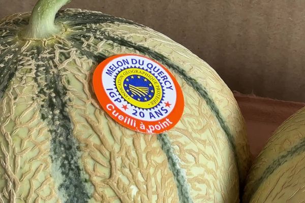 En 2024, les melons du Quercy ont 20 ans.