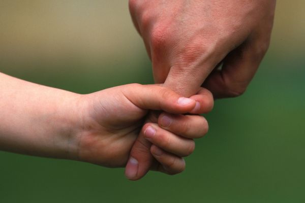 Le refus de la cour d'appel de Rennes de restituer à son père biologique un garçonnet de 18 mois né sous X est un "soulagement" pour la famille adoptante, à qui il a été confié par la conseil général de la Loire-Atlantique