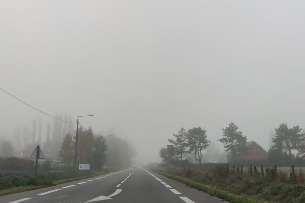 Brouillards sur le sud de la région