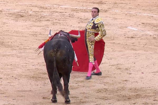 La faena de Ponce au toro de Domingo Hernández (Madrid, 2 juin 2007) est un des 6 "moments" choisis par Zocato.