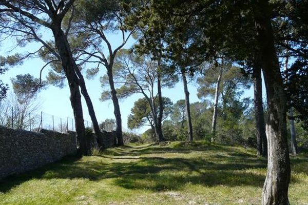 La réserve naturelle du Lez, comme le bois de Montmaur à Montpellier sont particulièrement vulnérables en cas d'incendie.