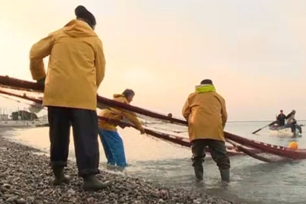 La tradition de la pêche à la poutine se perpétue au port du Cros-de-Cagnes.