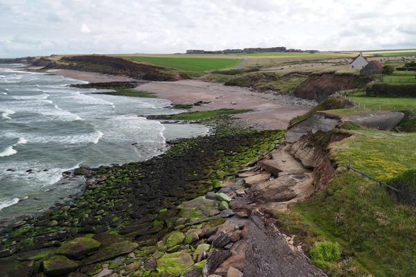 Le sentier des pêcheurs à Audresselles