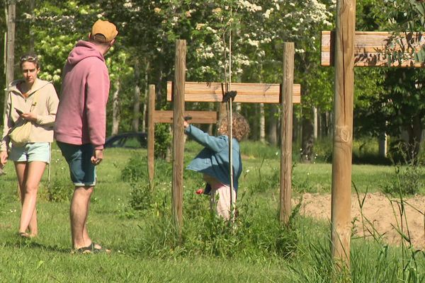 À Sainte-Bazeille, en Lot-et-Garonne, les habitants sont dépités face aux vols réguliers de jeunes arbres.