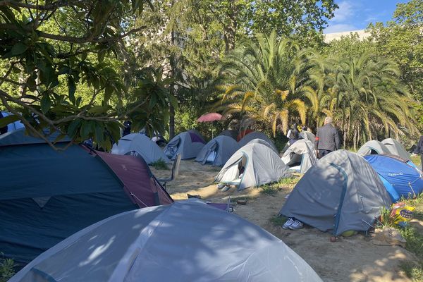 Selon la préfecture de l'Hérault, une quarantaine de personnes qui vivaient sous ces tentes à Montpellier ont été évacuées par la police, ce 26 avril 2025