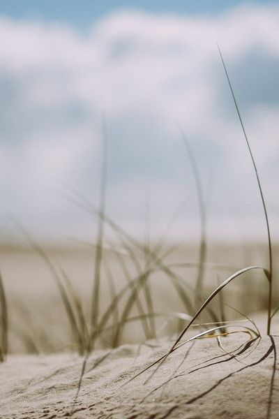 Le sable est une ressource surconsommée et surtout épuisable