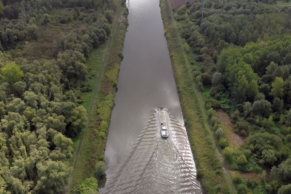 L'Escaut, victime de la pire catastrophe écologique de ces 10 dernières années