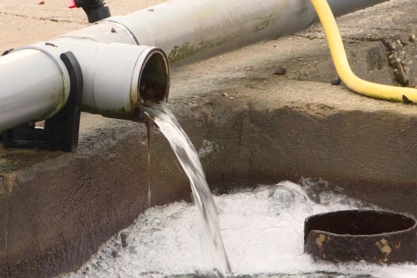 Suite à la contamination du bassin par les rejets du réseau des eaux usées, certains ostréiculteurs ont dû sortir leurs huîtres.