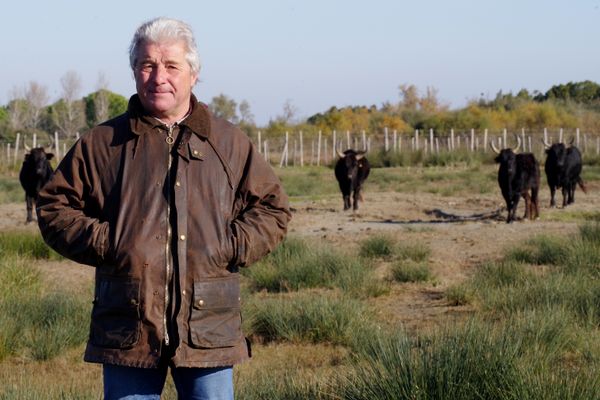 Frédéric Raynaud est le propriétaire de la manade du même nom sur la commune des Saintes-Maries-de-la-Mer, dans les Bouches-du-Rhône.