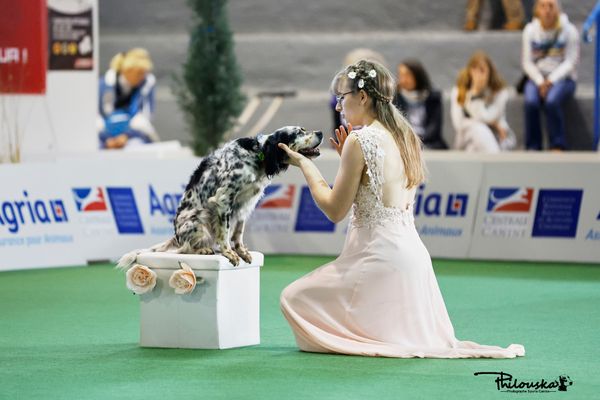 La Haute-Savoie accueillait ce week-end le championnat de France de dog dancing. Née en Angleterre, cette discipline ludique et sportive met en valeur la complicité entre le chien et son maître.