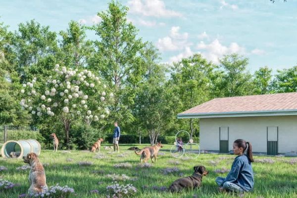 L'installation d'un refuge pour animaux à Etoile-sur-Rhône (Drôme) crispe les riverains. Ils craignent des nuisances et regrettent ne pas avoir été consultés.