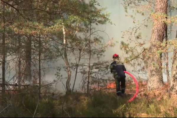 L'alerte incendie est déclenchée pour la première fois en Ile-de-France depuis la mise en place de la météo des forêts début juin.