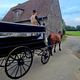 Un corbillard tracté par un cheval dans le Cotentin. Marie Travert entend relancer cette tradition en la proposant aux amoureux des chevaux