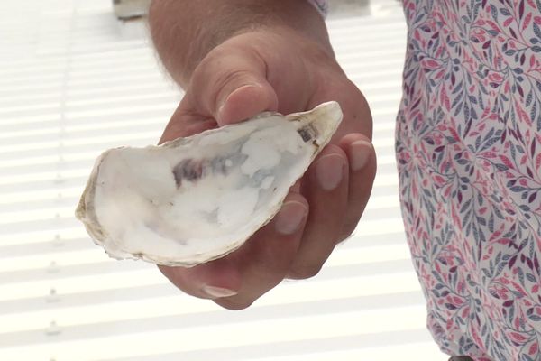 De la poudre de coquilles d'huîtres a été rajoutée à l'enduit pour en faire une peinture thermoréflective qui isole et protège le toit des rayons du soleil.