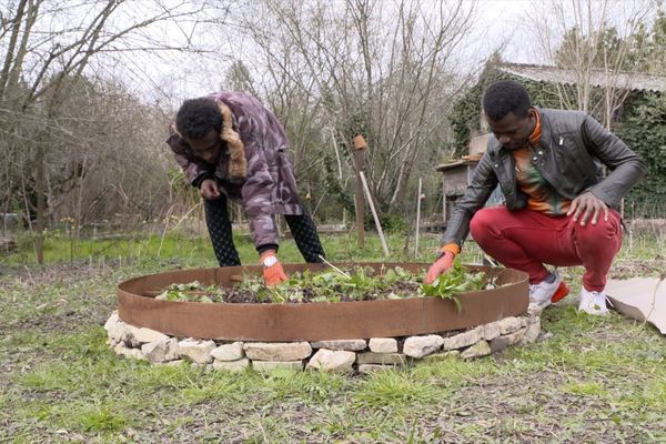 Inserts-Jeunes venus créer une nouvelle butte