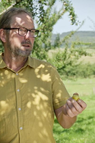 Luc Barbier est un arboriculteur qui apprécie particulièrement la mirabelle de Lorraine.