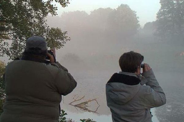 Bénévoles et chasseurs à l'affût ce matin à Margerides en Corèze