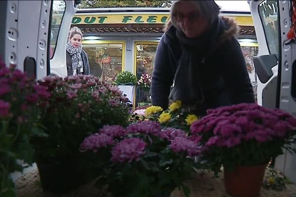 Approvisionnement en chrysanthèmes pour la Toussaint