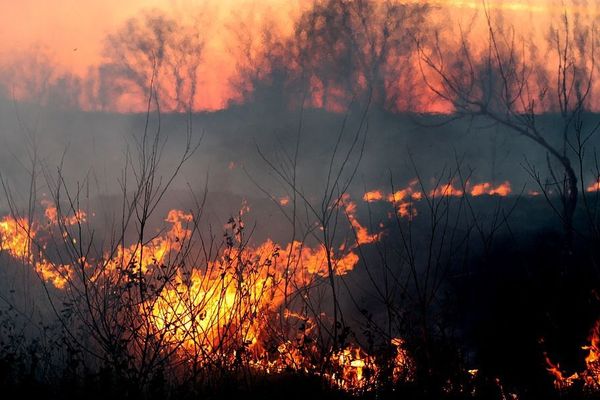 Avec la sécheresse et les températures caniculaires, les départs de feu se multiplient dans les champs.