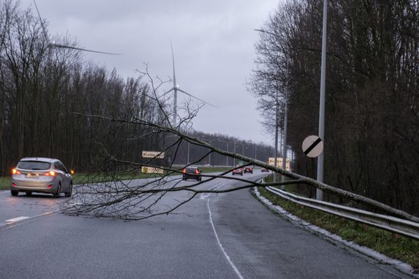 Des vents violents sont annoncés sur la Champagne-Ardenne le week-end du 4 au 5 novembre 2023.