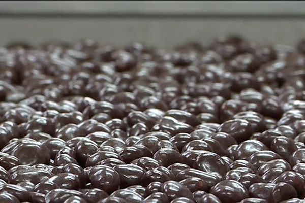 Près de 100 tonnes de raisins dorés sont produits chaque année