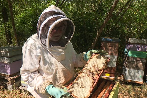 Dans le nord de la région, la production est très bonne