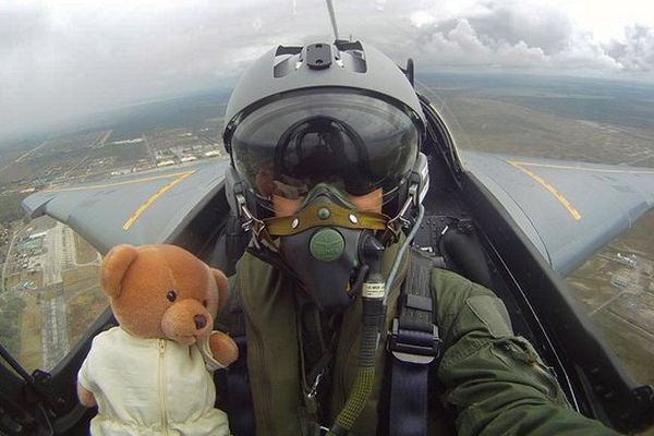 L'ours en Alpha Jet