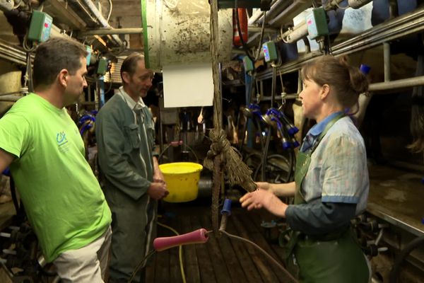 Il y a beaucoup de choses à faire dans leur élevage, le 26 juillet 2024, en Creuse.